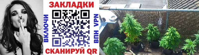 Купить наркотики Козьмодемьянск ГАШ Конопля Псилоцибиновые грибы Меф Alpha-PVP